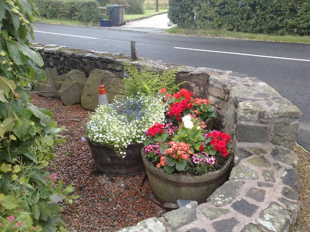 Hillview Cottage Stirling Room photo